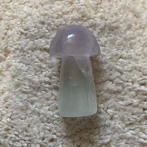 Flourite mushroom